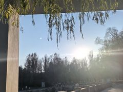 -长春世界雕塑园冰雪艺术天地