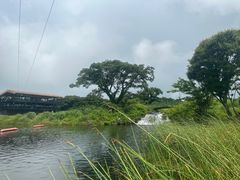 -济州森林小火车生态公园