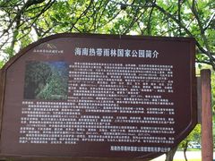 -海南热带雨林国家公园吊罗山景区
