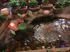 -有梦特色餐厅(古子城店)