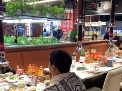 -猫爪爪原切自助烤肉(观音桥阳光世纪店)