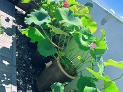 -漪龙台·B26 Rooftop Lounge