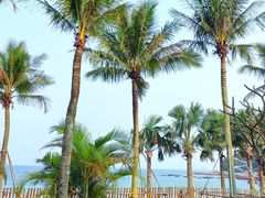 -大梅沙海滨公园