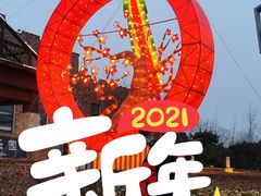 -南宫五洲植物乐园