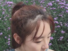 -广东花都香草世界旅游度假区