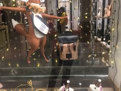 -COACH蔻驰(星光68广场店)