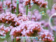 -深圳湾公园(南山区)