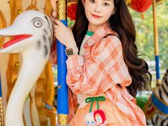 -朝阳公园游乐园