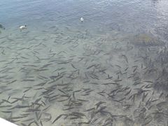 -青海湖二郎剑景区
