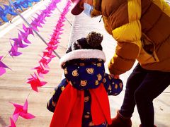 -绿野森林乐园冰雪季