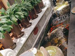 -红鼎坊·老成都火锅(新南门店)