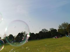 -吴淞炮台湾湿地森林公园烧烤区