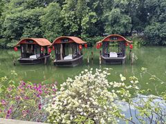 -侨美·唐荔园·40年地道粤菜