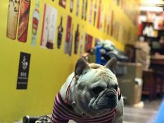 -陈记栗子(长宁路店)