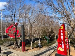 -阳台山自然风景区