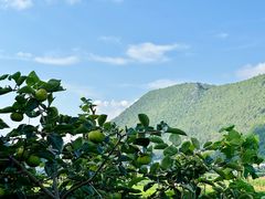 -万峰林风景区