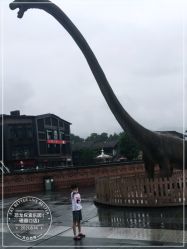 点击看大图 -恐龙探索乐园(磁器口店)