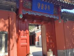 -药王庙(安国市)