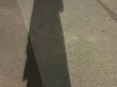 -浙江大学(玉泉校区)