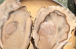 Golden Taishan Oyster