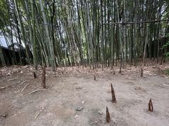 -江宁织造博物馆