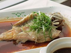 -云中小雅