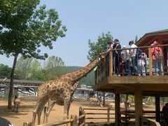 -大连森林动物园