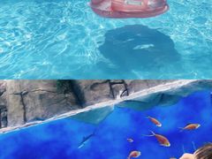 -青岛东方影都融创水世界