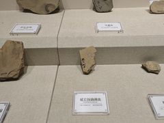 -辽宁古生物博物馆