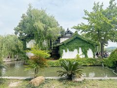 -鲁镇