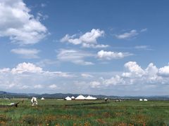 -敕勒川草原