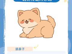 -萌宠之家·腊肠犬·马尔泰·小体犬舍