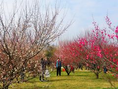 -蜀冈西峰生态公园