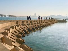 -星海湾跨海大桥