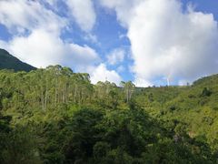 -盐洲岛