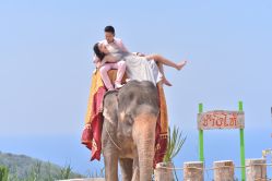 -四叶草环球旅拍