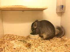 -龙猫仔乐园(惠福东路店)