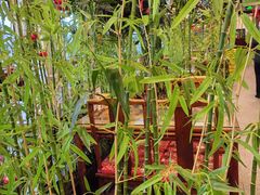 -西江美食舫·江西菜(健德桥店)