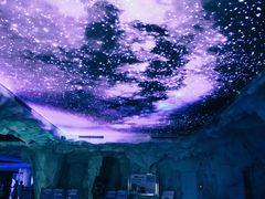 -上海海昌海洋公园-冰山北极馆