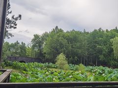 -长广溪湿地公园