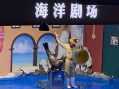 -重庆欢乐海底世界