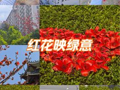 -三水森林公园