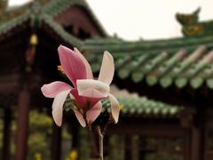 -晋商博物院