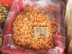 -大湾区中央湿地公园-十九涌