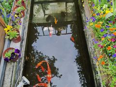 -老洋房花园饭店(绍兴路店)