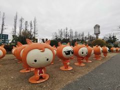 -上海长兴岛郊野公园