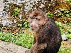 -西岭雪山大飞水景区