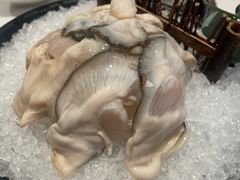 -海月轩海鲜豆捞(紫金塔店)
