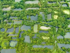 -西溪国家湿地公园