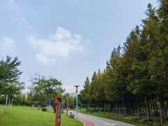 -桃花岛公园